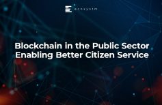 Blockchain in the Public Sector Enabling Better Citizen Service