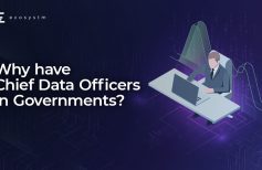Why have Chief Data Officers in Governments?