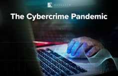 The Cybercrime Pandemic
