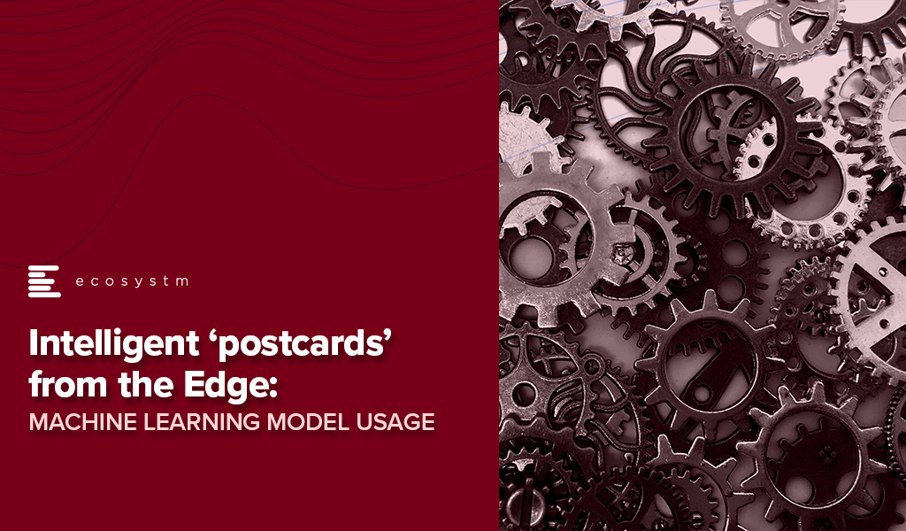 Intelligent ‘postcards’ from the Edge: Machine learning model usage