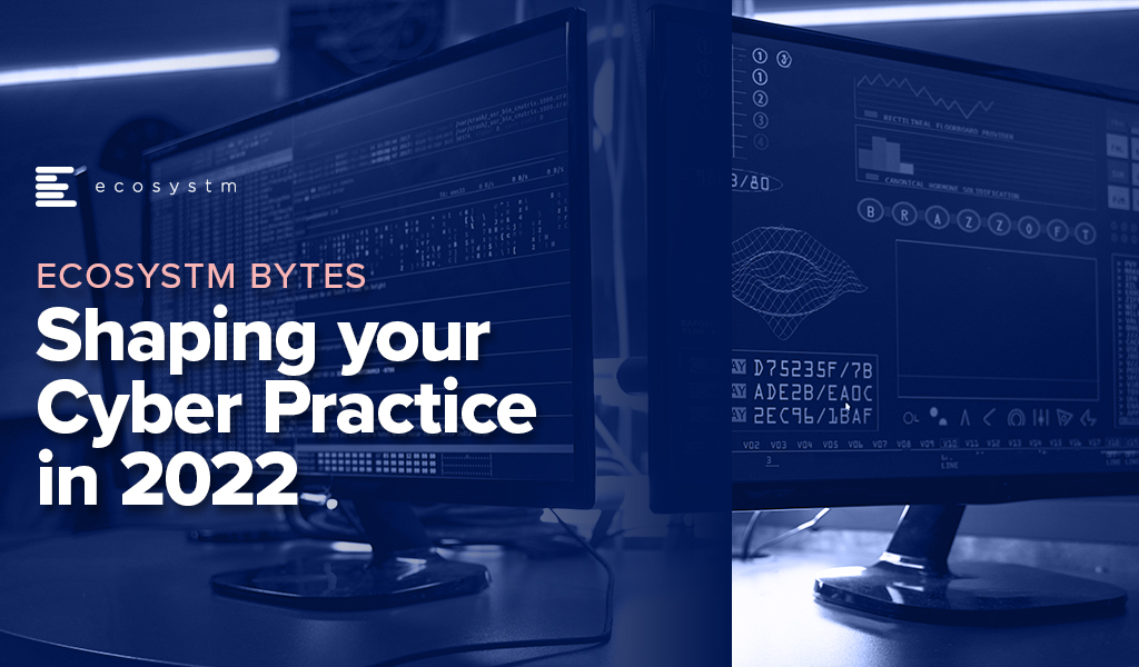Shaping your Cyber Practice in 2022