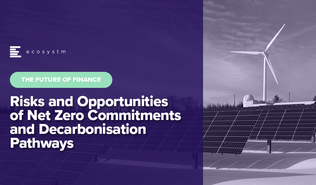 The-future-of-finance-Risks-and-Opportunities-of-Net-Zero-Commitments-and-Decarbonisation-Pathways