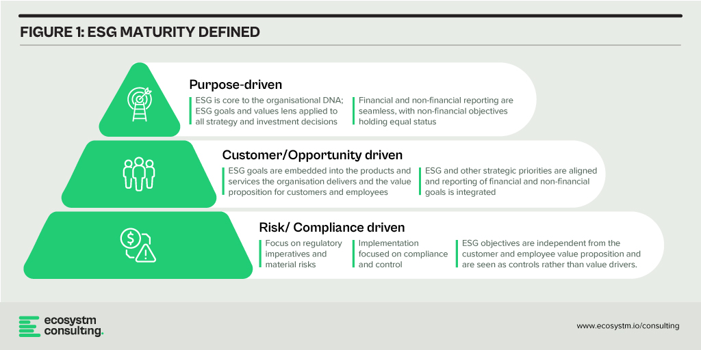 ESG Maturity Defined
