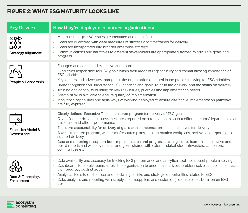 What ESG Maturity Looks Like