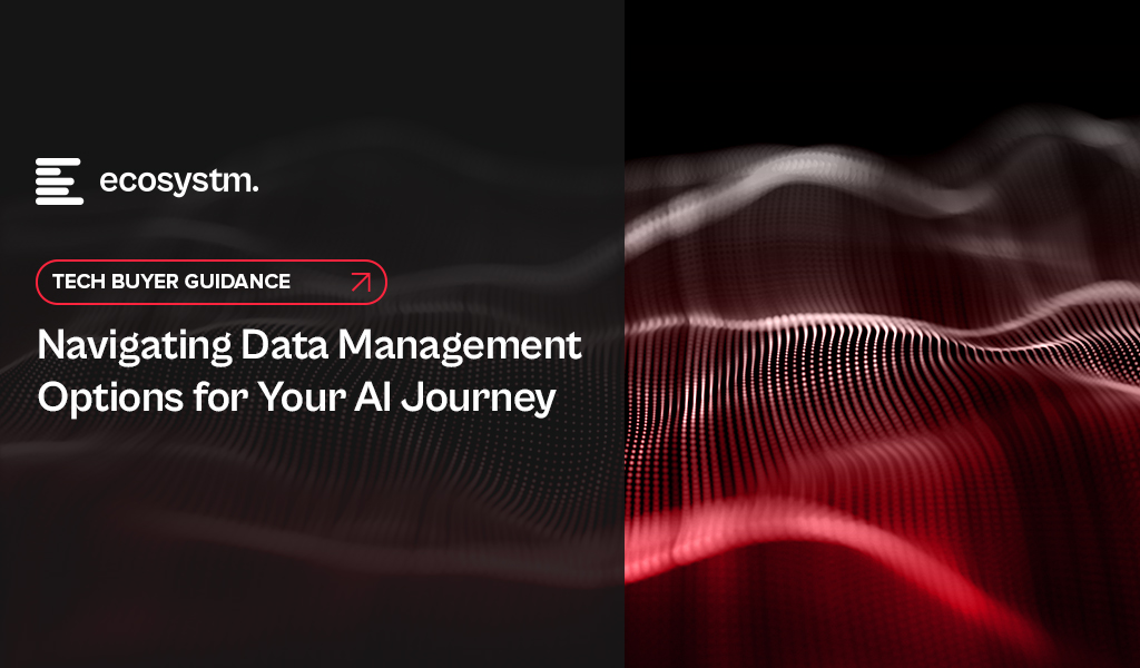 Navigating Data Management Options for Your AI Journey